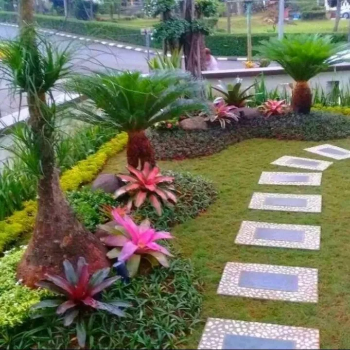 jasa tukang taman tanjung barat_1